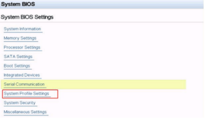 选择System Profile Settings