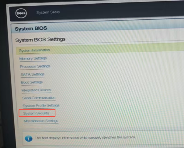 进入System Security