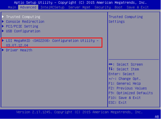 步骤1：BIOS Advanced