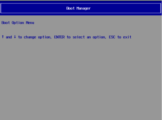 步骤1-1：Boot Manager