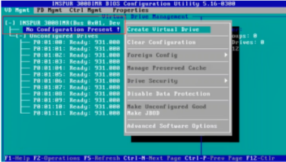 步骤2:Create Virtual Drive