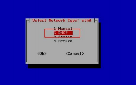 启用DHCP