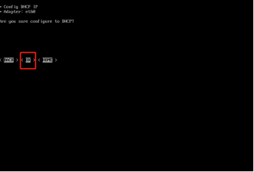启用DHCP